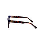 43.png